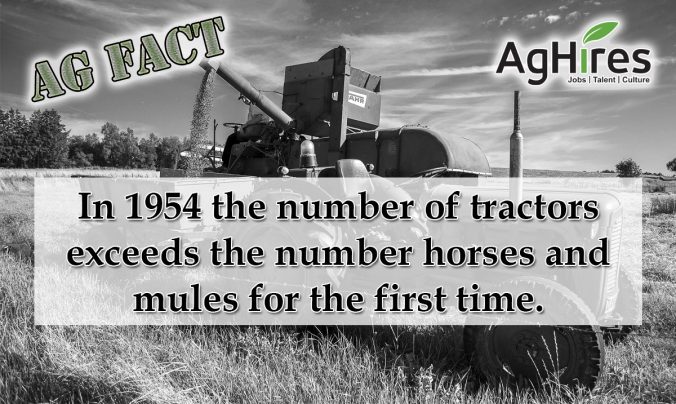 AG HISTORY HOME visual data 5